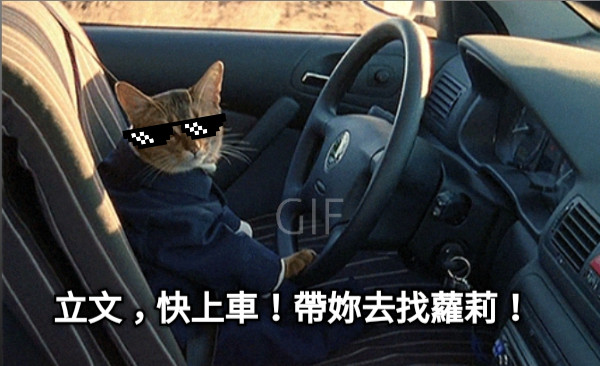 立文，快上車！帶妳去找蘿莉！