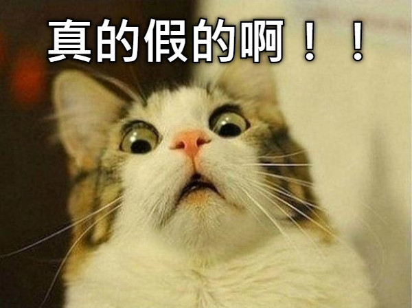真的假的啊！！