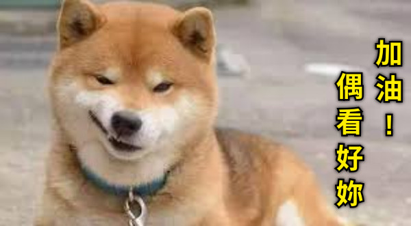 加 油 ! 偶 看 好 妳