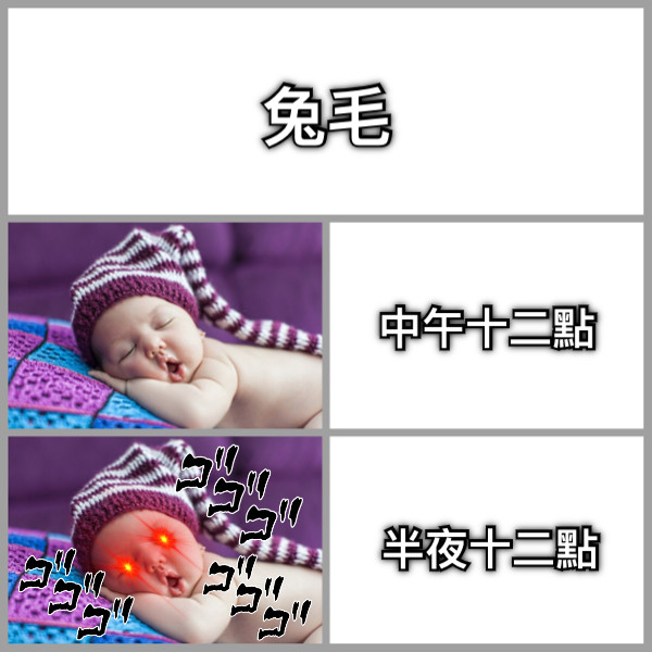 兔毛 中午十二點 半夜十二點