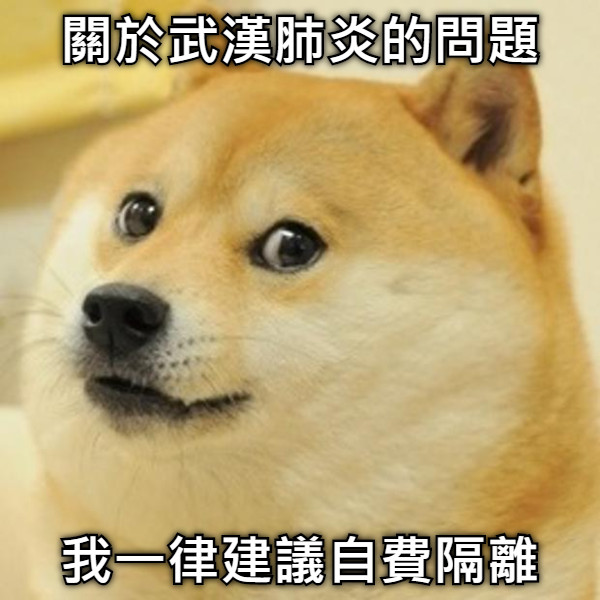 關於武漢肺炎的問題 我一律建議自費隔離