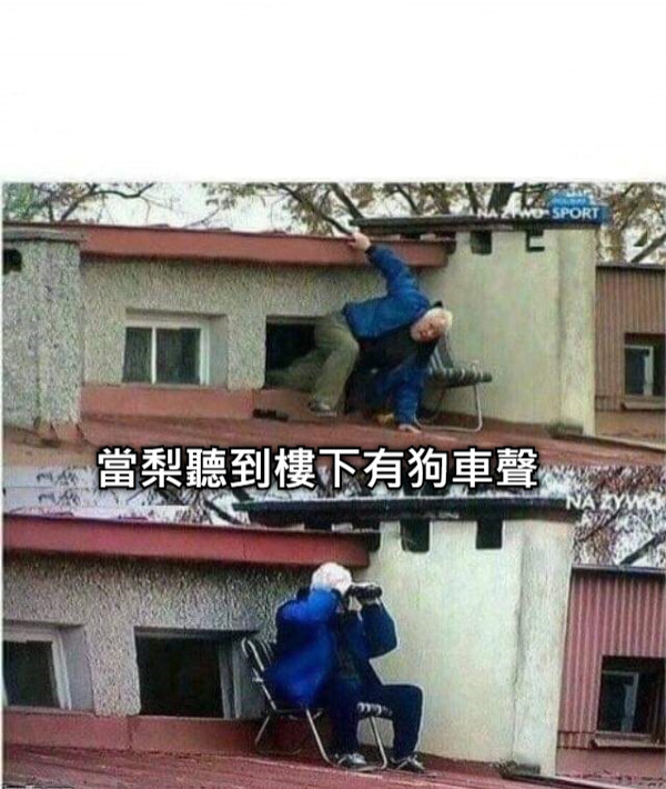 當梨聽到樓下有狗車聲