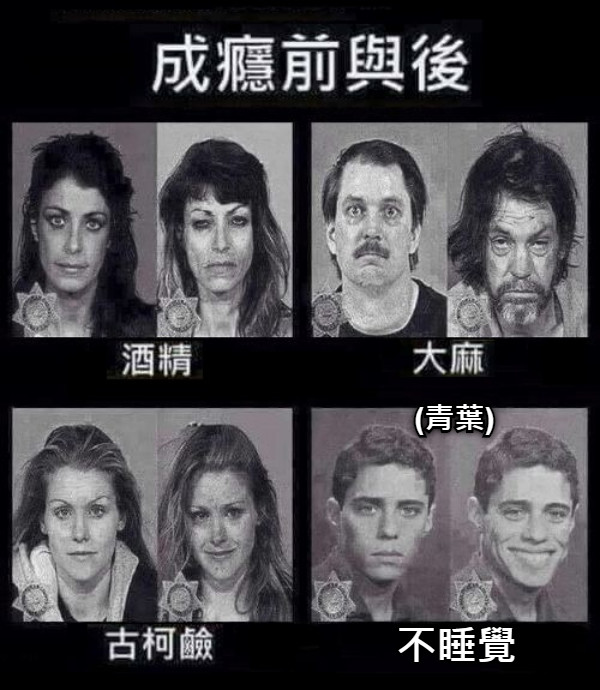 不睡覺 (青葉)