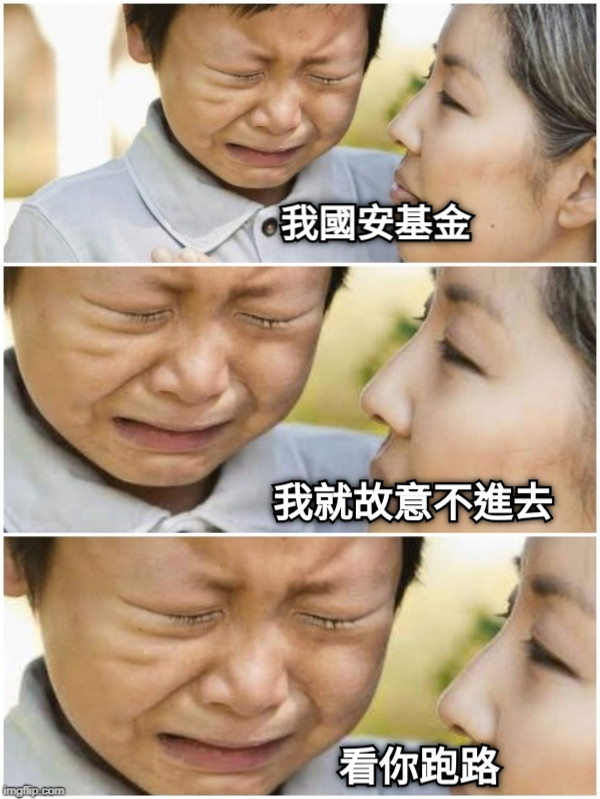 我國安基金 我就故意不進去 看你跑路