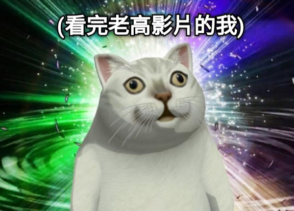 (看完老高影片的我)