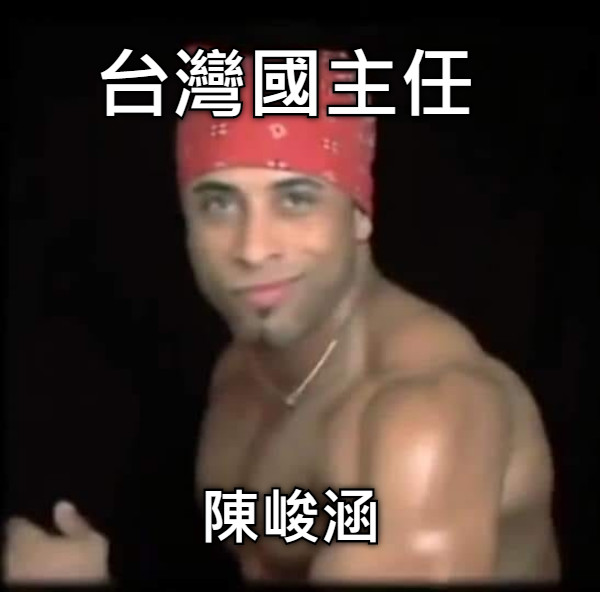 台灣國主任 陳峻涵