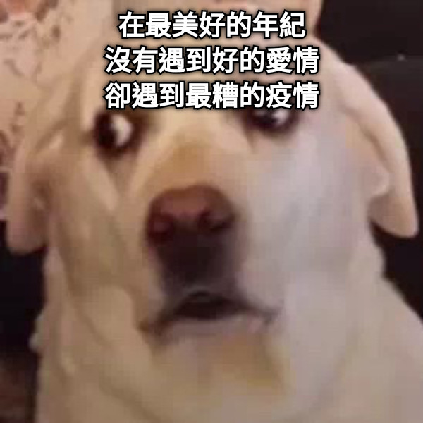在最美好的年紀 沒有遇到好的愛情 卻遇到最糟的疫情