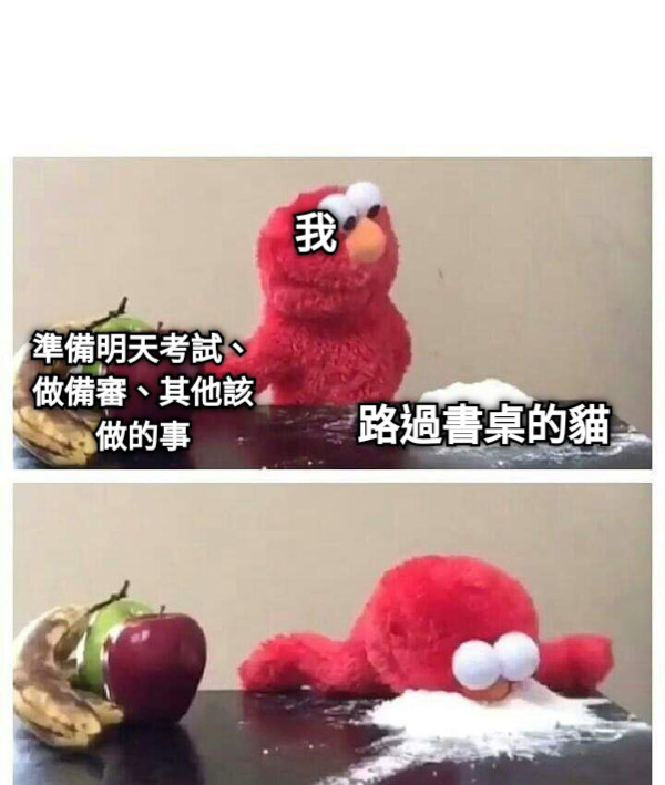 我 路過書桌的貓 準備明天考試、做備審、其他該做的事