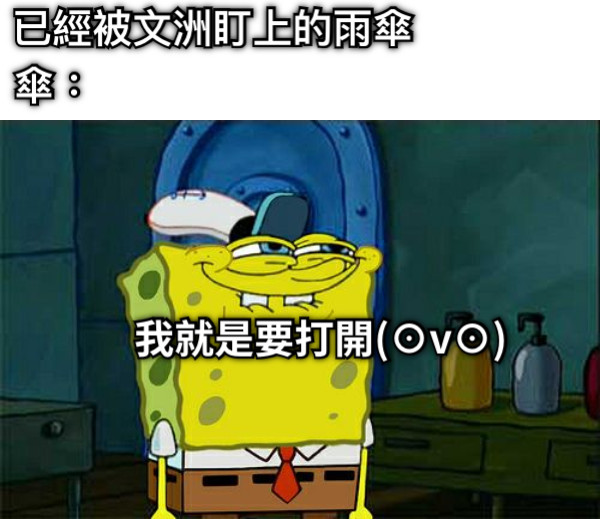 已經被文洲盯上的雨傘 傘： 我就是要打開(⊙v⊙)