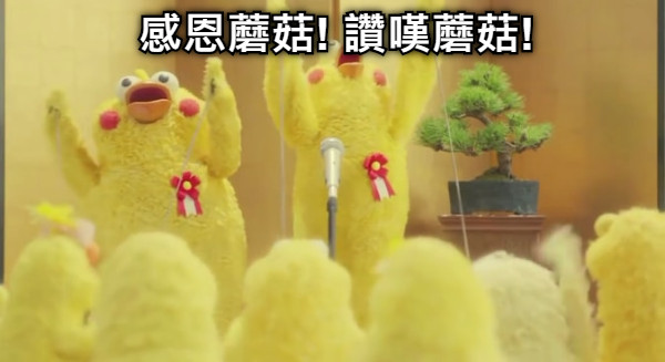 感恩蘑菇! 讚嘆蘑菇!