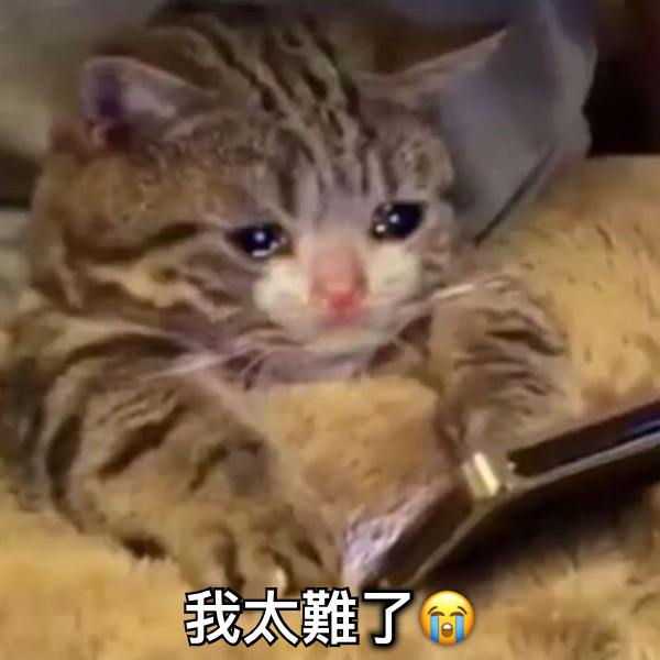 我太難了😭