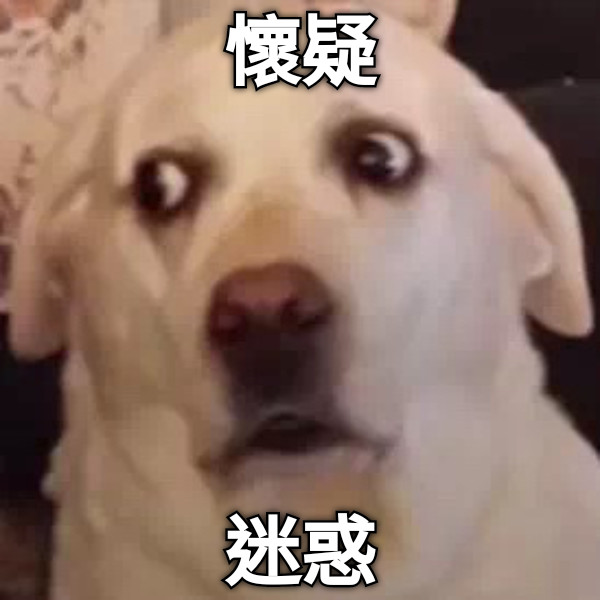 懷疑 迷惑