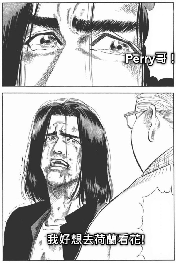 Perry哥！ 我好想去荷蘭看花!