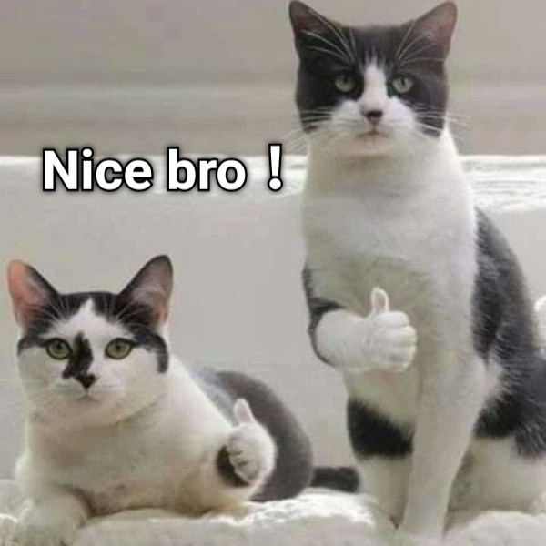 Nice bro！