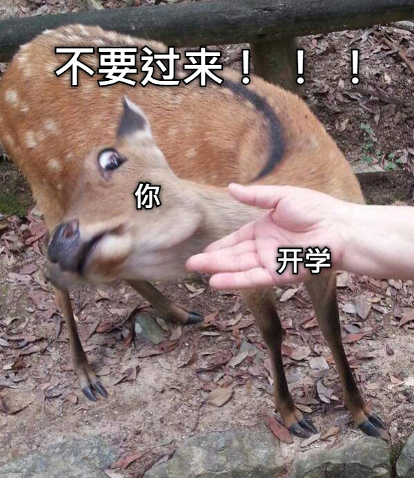 不要过来！ ！ ！ 你 开学
