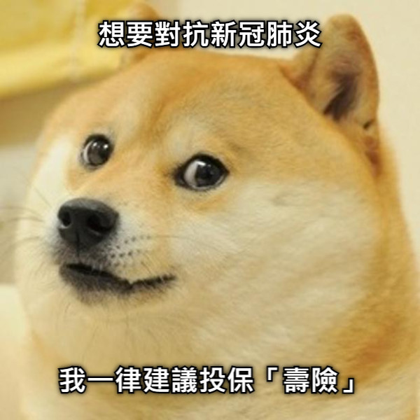 想要對抗新冠肺炎 我一律建議投保「壽險」