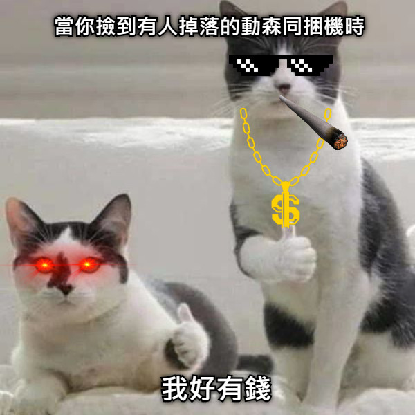 當你撿到有人掉落的動森同捆機時 我好有錢