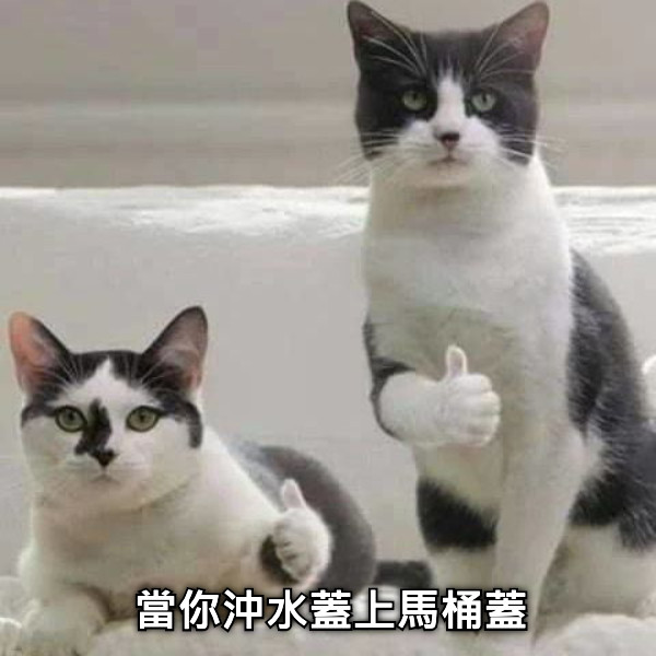 當你沖水蓋上馬桶蓋