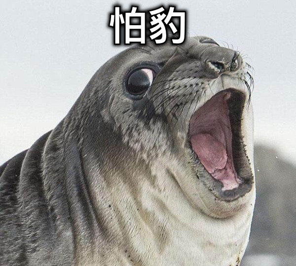怕豹
