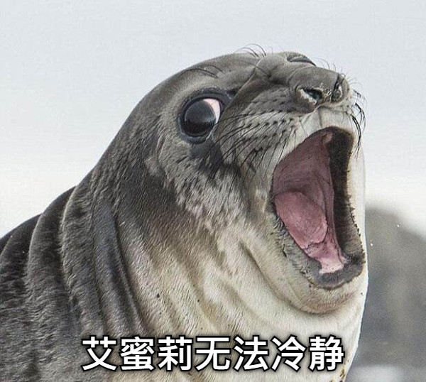 艾蜜莉无法冷静