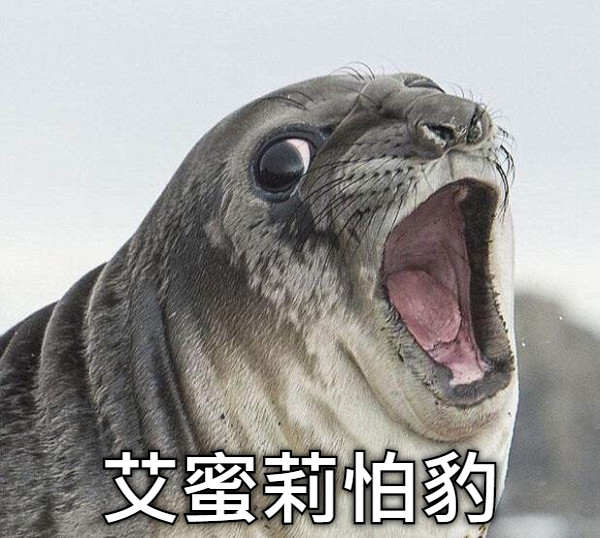 艾蜜莉怕豹