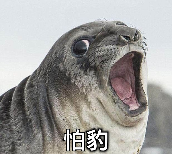 怕豹