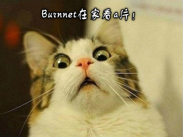 Burnnet在家看a片！