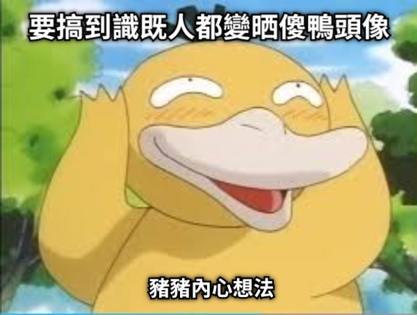 要搞到識既人都變晒傻鴨頭像 豬豬內心想法