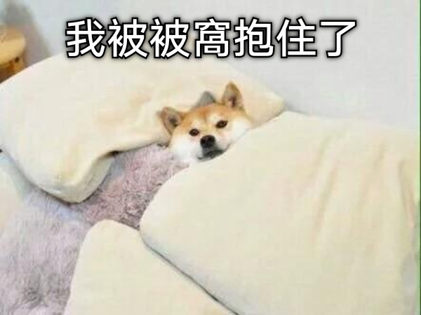 我被被窩抱住了