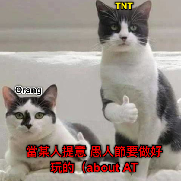 TNT Orang 當某人提意 愚人節要做好玩的（about AT