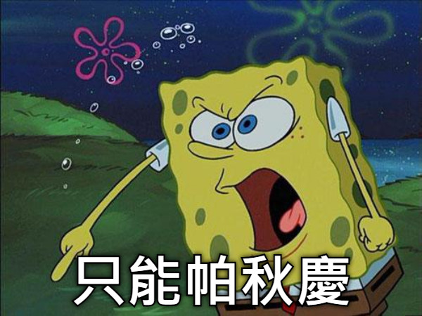 只能帕秋慶