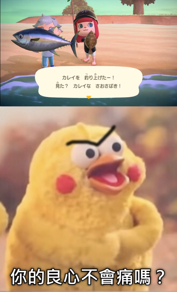 你的良心不會痛嗎？