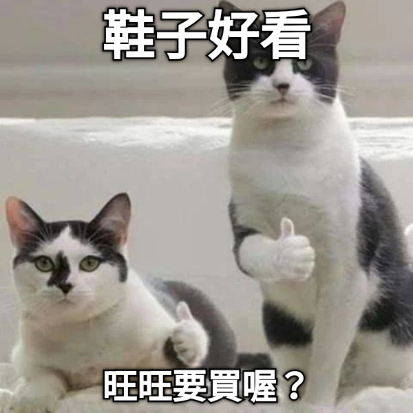 鞋子好看 旺旺要買喔？