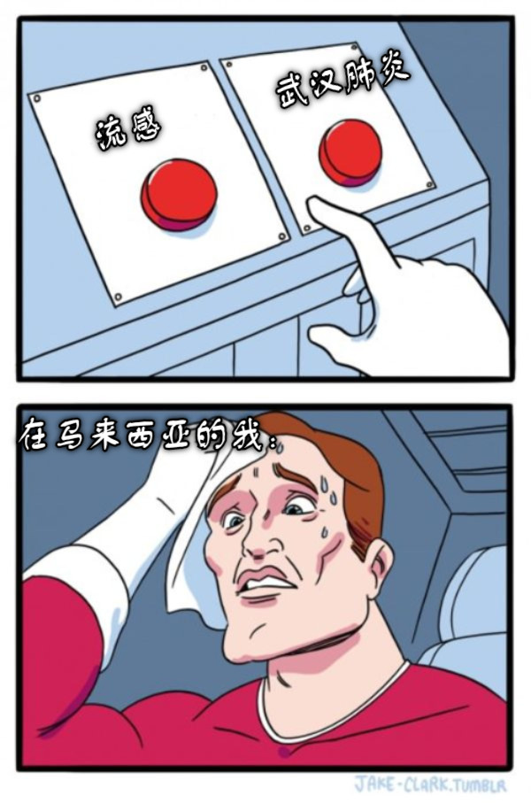 流感           武汉肺炎 在马来西亚的我：