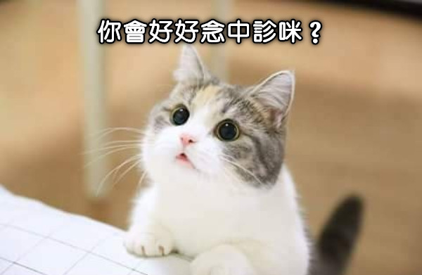 你會好好念中診咪？