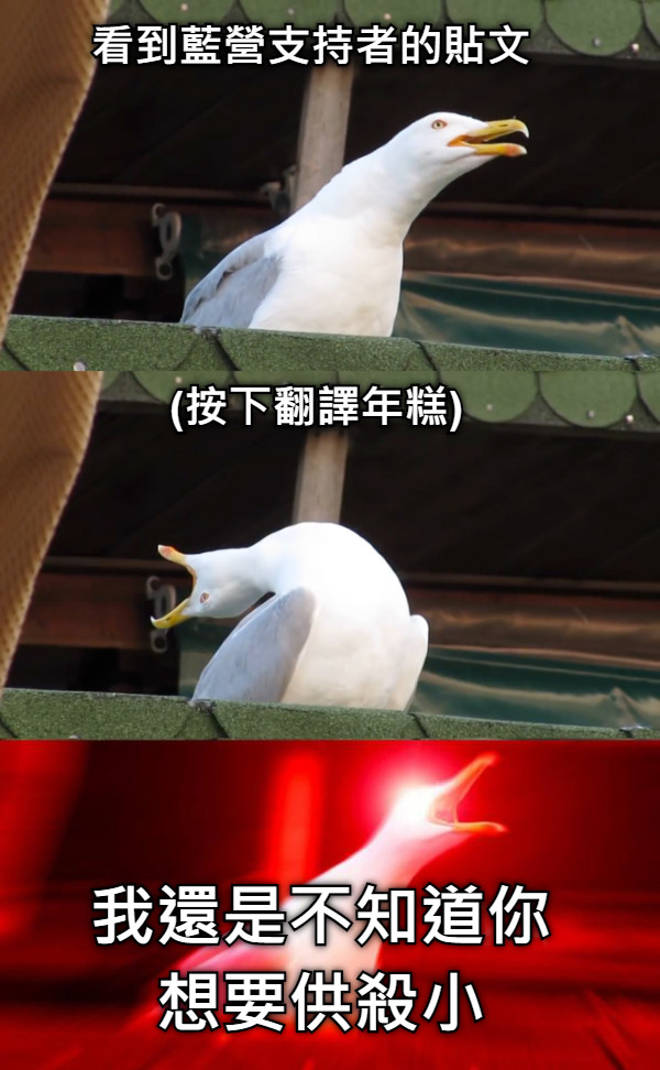 看到藍營支持者的貼文 (按下翻譯年糕) 我還是不知道你想要供殺小