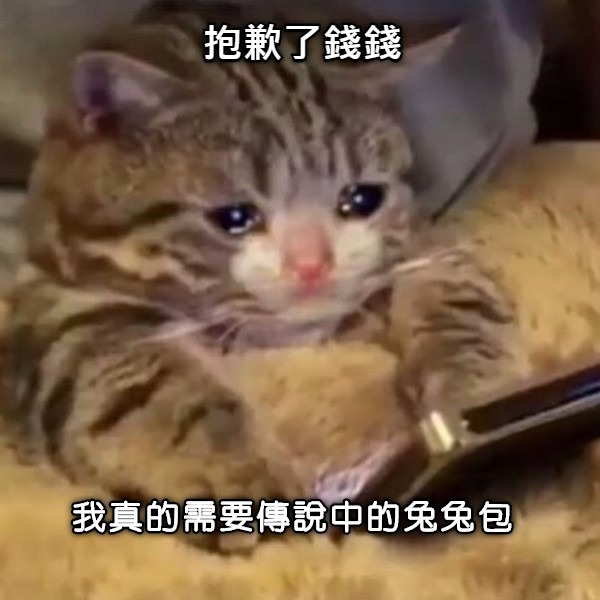 我真的需要傳說中的兔兔包 抱歉了錢錢