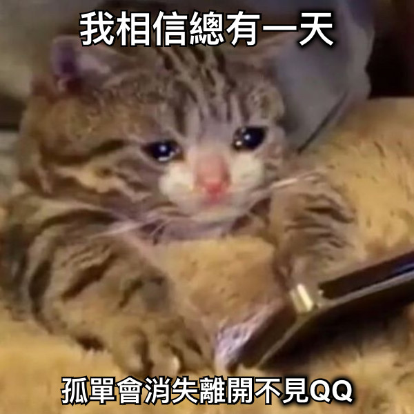 我相信總有一天 孤單會消失離開不見QQ
