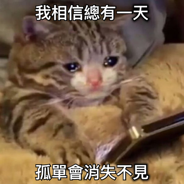 我相信總有一天 孤單會消失不見