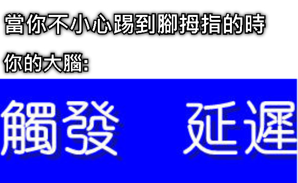 當你不小心踢到腳拇指的時 你的大腦: