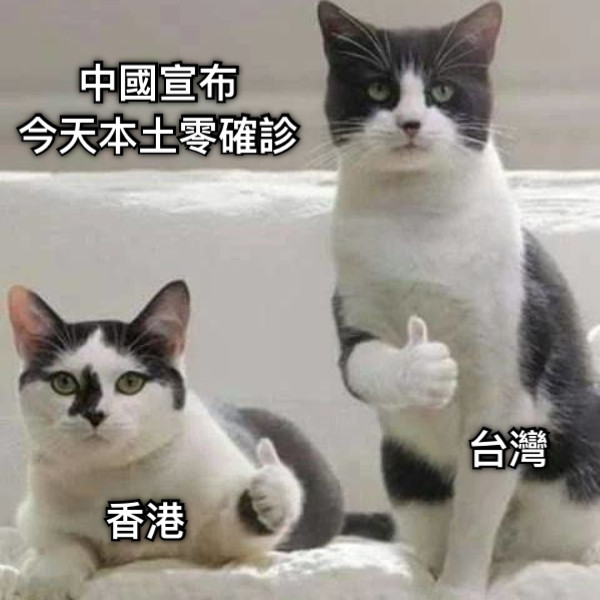 中國宣布 今天本土零確診 香港 台灣