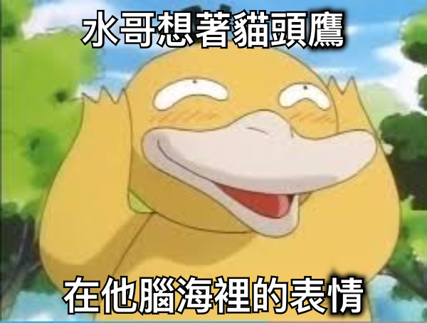 水哥想著貓頭鷹 在他腦海裡的表情