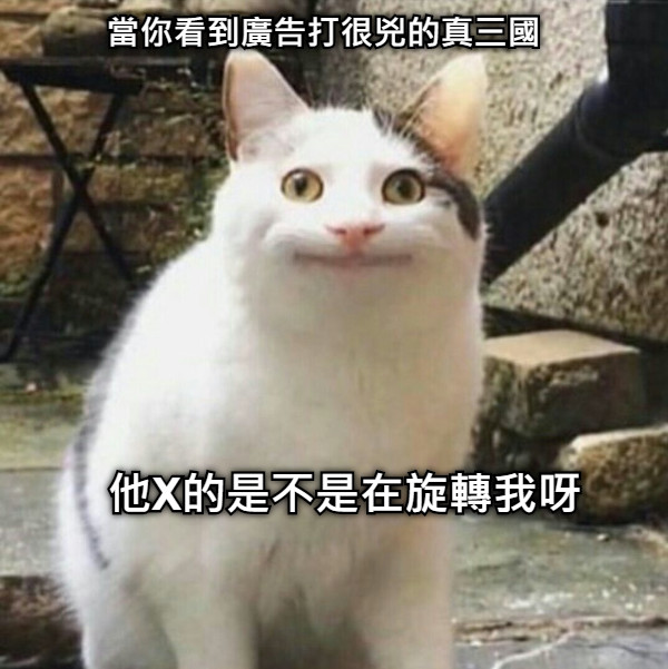 當你看到廣告打很兇的真三國 他X的是不是在旋轉我呀