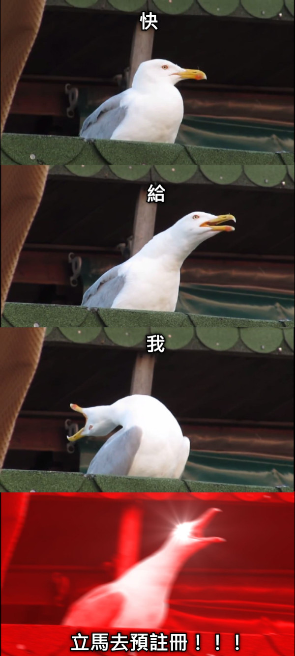 快 給 我 立馬去預註冊！！！