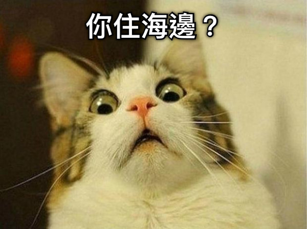 你住海邊？