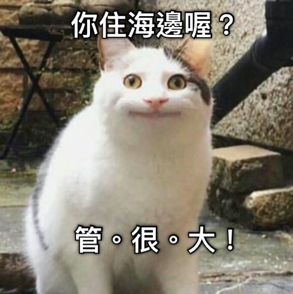 你住海邊喔？ 管。很。大！
