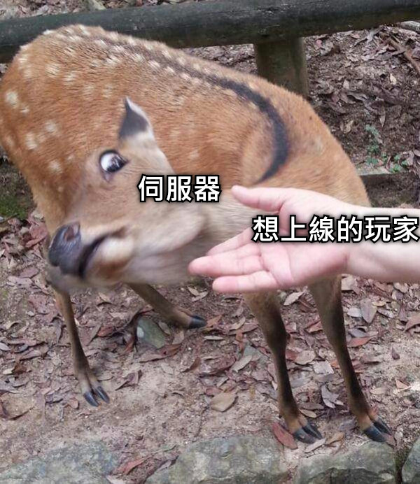 想上線的玩家 伺服器