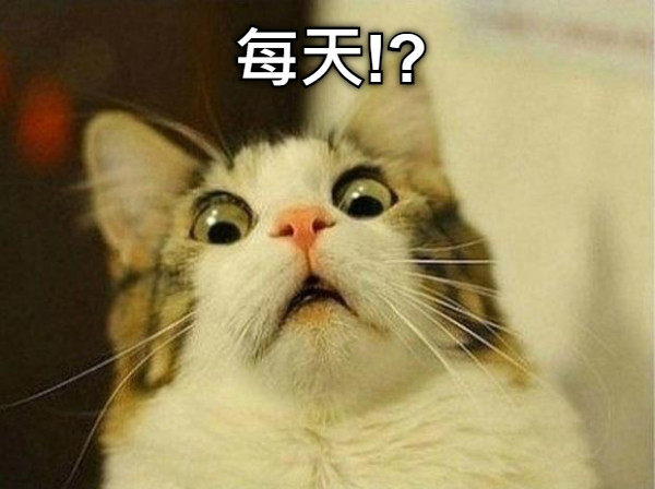 每天!?