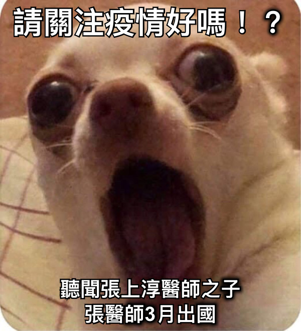 請關注疫情好嗎！？ 聽聞張上淳醫師之子 張醫師3月出國