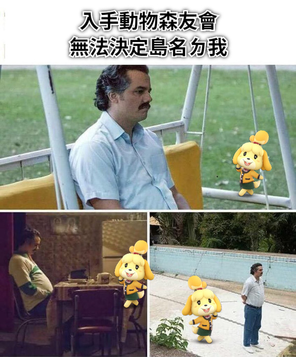 入手動物森友會 無法決定島名ㄉ我